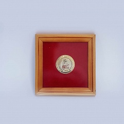 Медаль Лауреата конкурса «100 лучших Дошкольных образовательных организаций России», 2013 год.